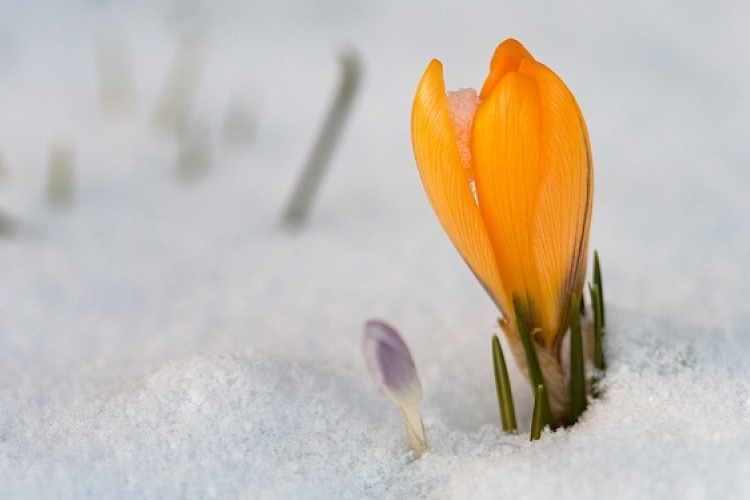 Visszatér a tél, hideg és hófúvás jöhet