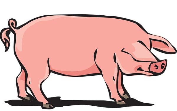 Ki készíti a legjobb disznótoros ételeket Szilsárkányban?