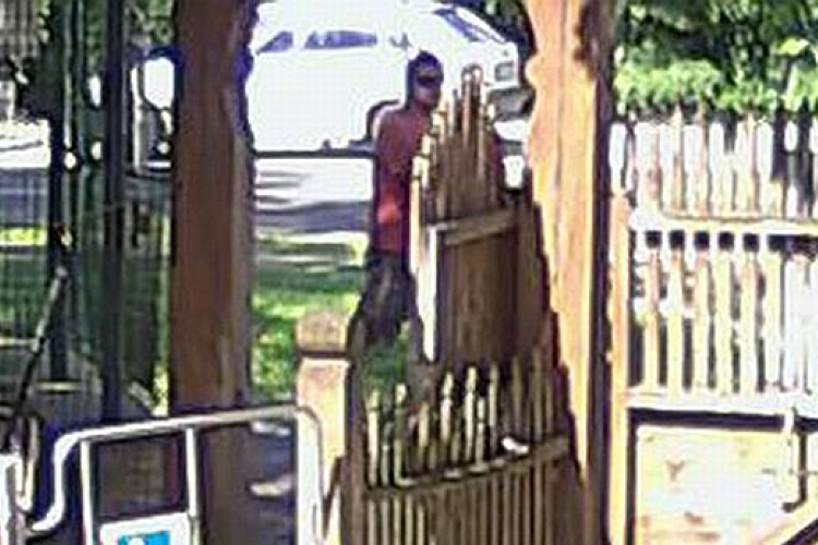 Szeméremsértőt keresnek a rendőrök