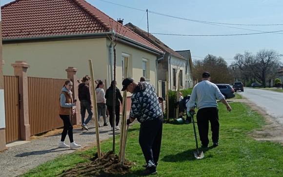 Faültetés Barbacson