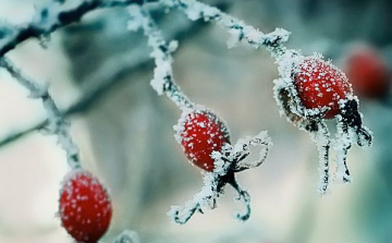 Mínusz hat fokot mértek Csíkszeredában