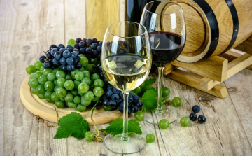 Hatályba lépett az új bortörvény és végrehajtási rendeletei