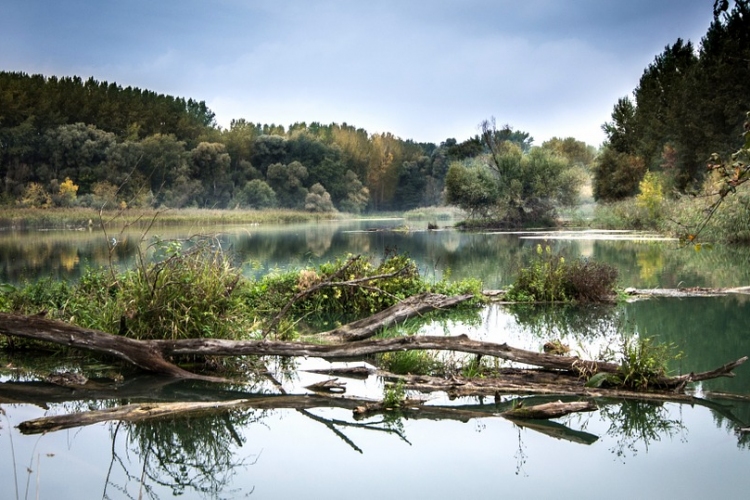 Nemzetközi projekt indult a Duna vízgyűjtőinek védelmére