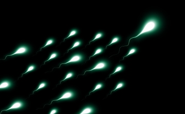 Mesterséges megtermékenyítéshez megőrizhették egy halott amerikai fiú spermáit a szülei
