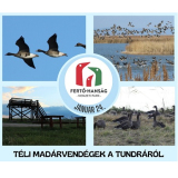 Téli madárvendégek a tundráról