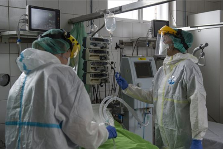 A fertőzöttek száma meghaladja a 247 milliót, a halálos áldozatoké több mint 5,005 millió a világon