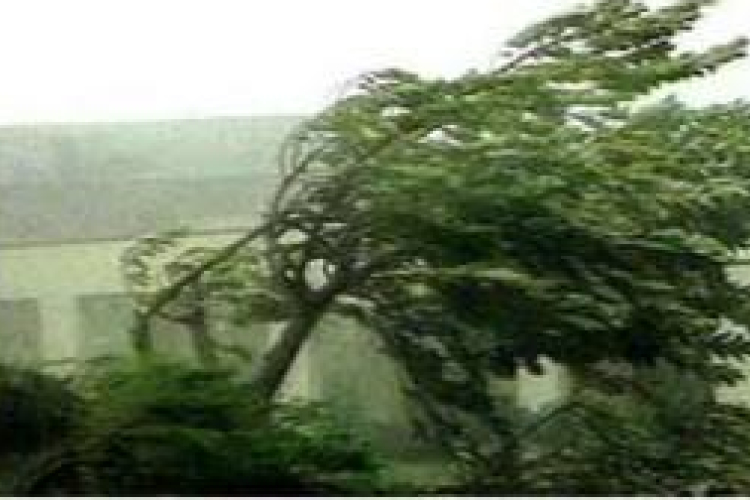 Favágásból tűzeset, tűzesetből vádemelés