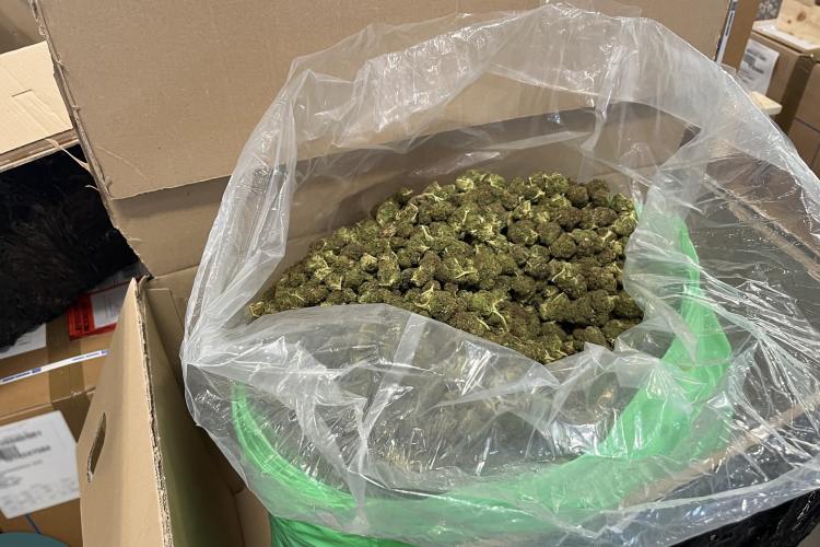 NAV: több mint húsz kiló kábítószert találtak egy küldeményben a Ferihegyi repülőtéren