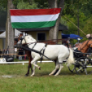 Árpási Fogathajtó Verseny