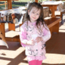 Hagyományőrző disznóvágás Vágon! 