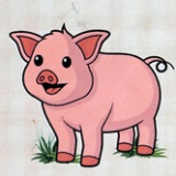 Falusi disznóvágás Szanyban