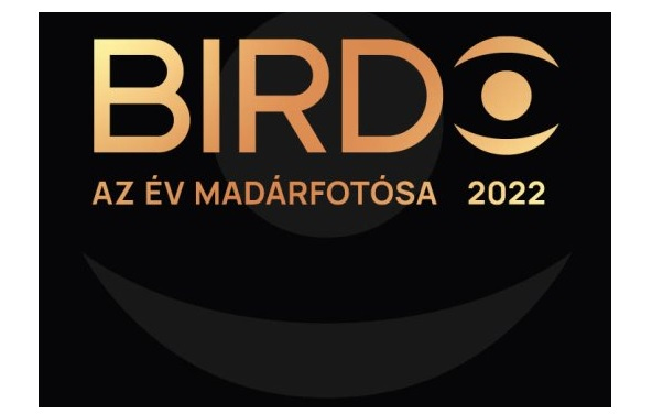 Birdo – Az év madárfotósa címen fotópályázatot írtak ki