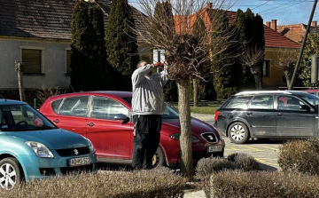 Megkezdődtek a tavaszi munkák Szil közterületein