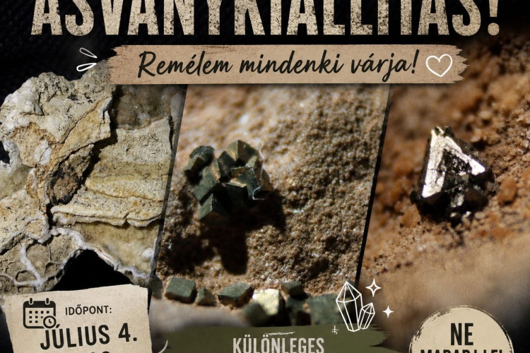 Ásványkiállítás