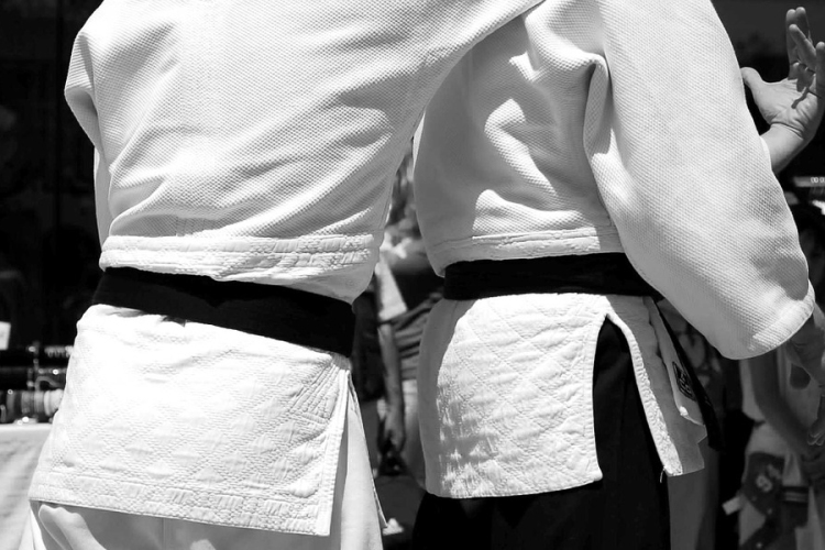 Kiemelt sportág lett a karate