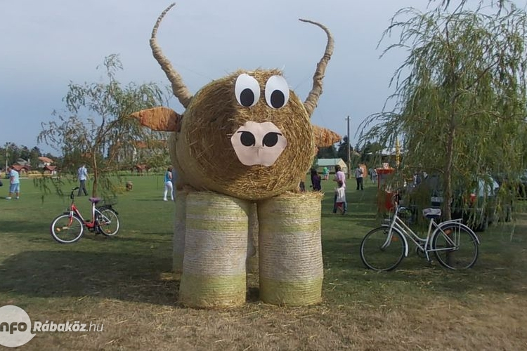 Bika-kupa a kónyi falunapon