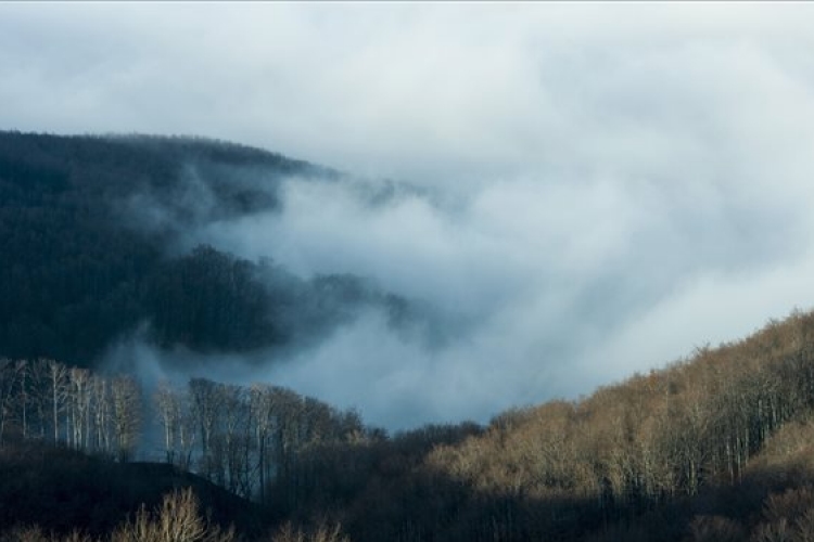 Ismét sűrű ködre figyelmeztet a meteorológiai szolgálat