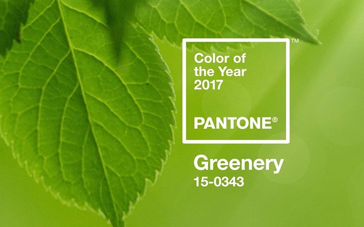 A borsózöld lett az év színe, hivatalos nevén: Greenery