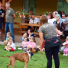 Falunap Vág Községben. (2025. 09. 13.)