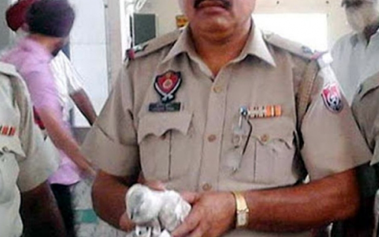 Őrizetbe vettek egy galambot Indiában 