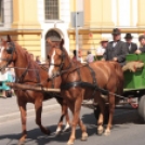 Lovasünnep a 850 éves Kapuváron