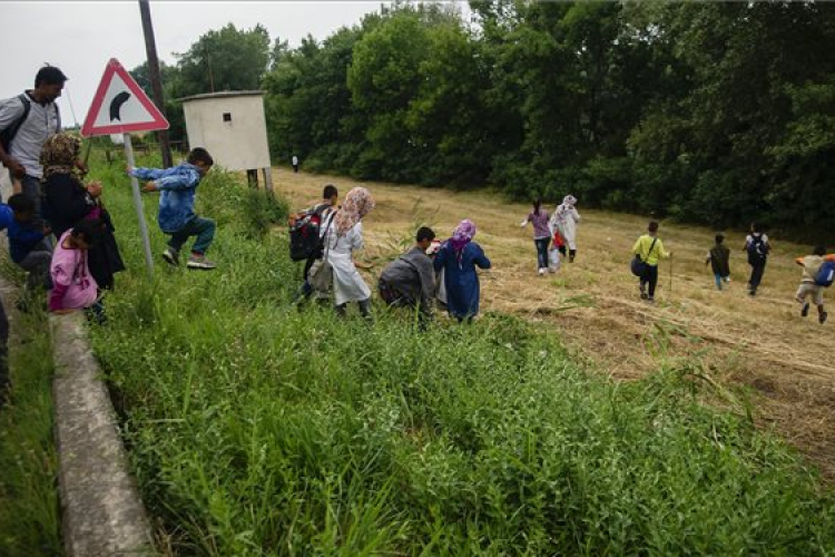 Illegális bevándorlás - a Homokhátságon élők tűrőképességük határára értek