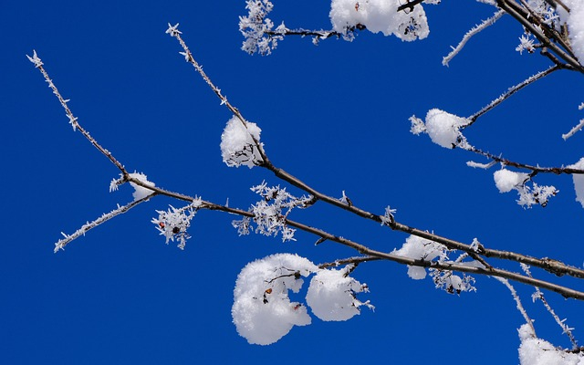 Hónapról hónapra a kertben