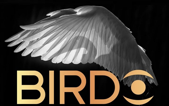 Birdo - Az év madárfotósa pályázat