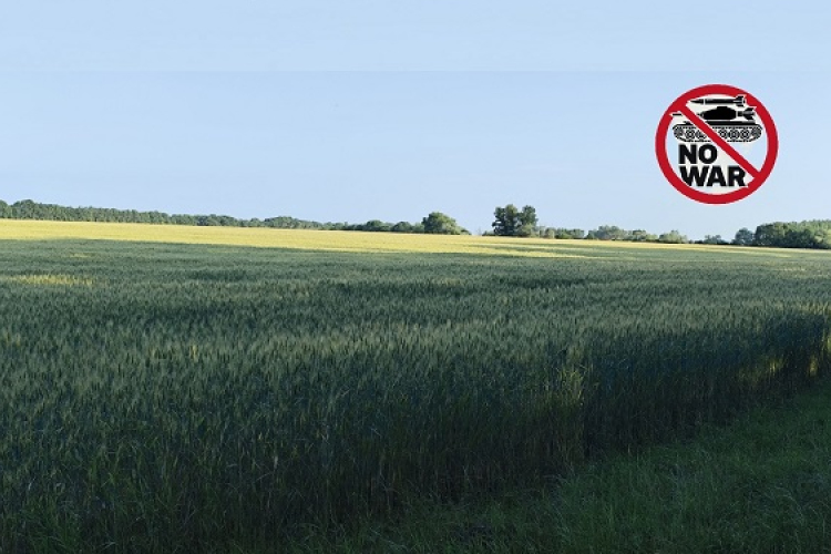 Háborús félelemkeltés helyett nyugalmat és munkát