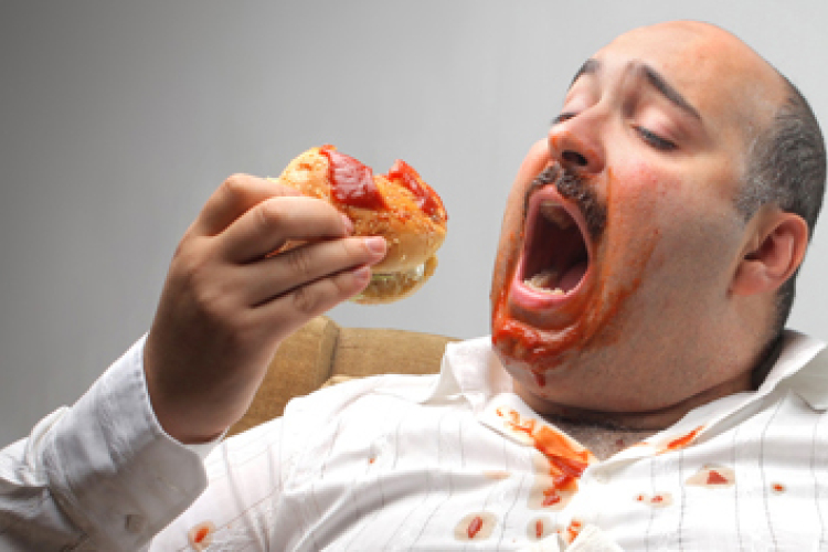 Hogyan lesz a kajából zsírpárna?