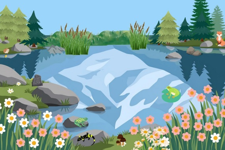 A vizes élőhelyek világa