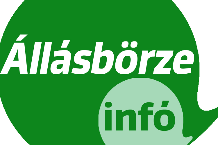Állásbörze - a legújabb álláshirdetések