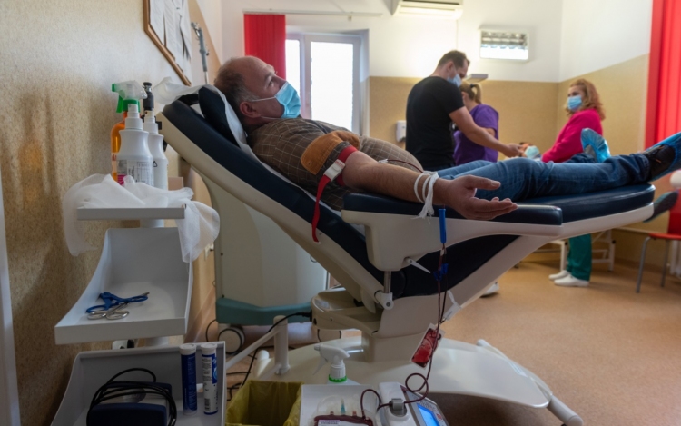 Már több mint 350-en jelentkeztek vérplazmadonornak