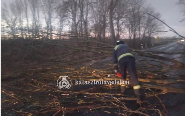 Fákat döntött ki, családi ház- és templomtetőket bontott meg a vasárnapi szélvihar