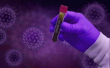 A fertőzöttek egy százalékánál mutatható ki a mutáns vírus Franciaországban