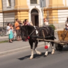 Lovasünnep a 850 éves Kapuváron