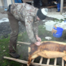 Sertést vágtak a Szany SE. labdarúgói.