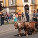 Lovasünnep a 850 éves Kapuváron