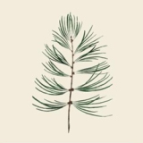 Adventi gyertyagyújtás és kézműves vásár