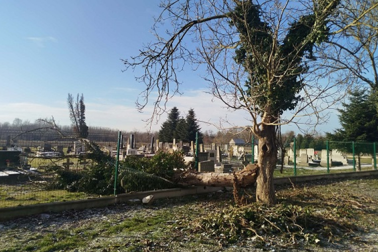 A viharos szél bebizonyította, jogos volt az óvatosság Jobaházán