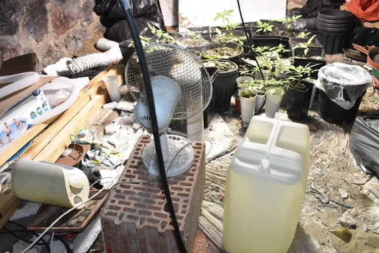 Kábítószert is találtak a rendőrök Mórichidán, amikor letartóztattak egy körözött férfit