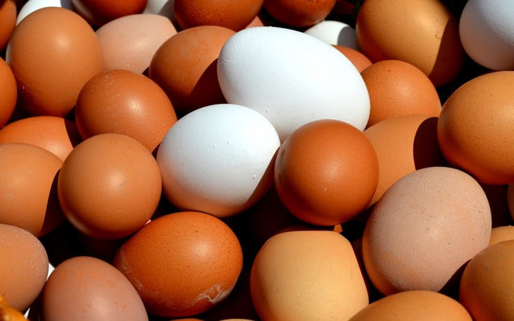 Ismét az olcsó import nyomja le a tojásárakat