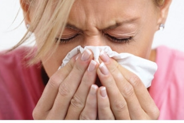 Becsaphatja szervezetünket a keresztallergia-jelenség