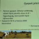 Gólyafesztivál Szanyban II. rész. (2024. 06.15.)
