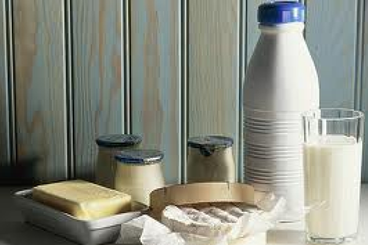 Egészséges ételek, amelyeknek kipróbálása kötelező!