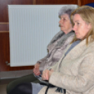 Hagyományok és Értékek Ünnepe Szanyban – 