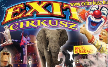 Exit Cirkusz 2015 - nyerje meg belépőjét!