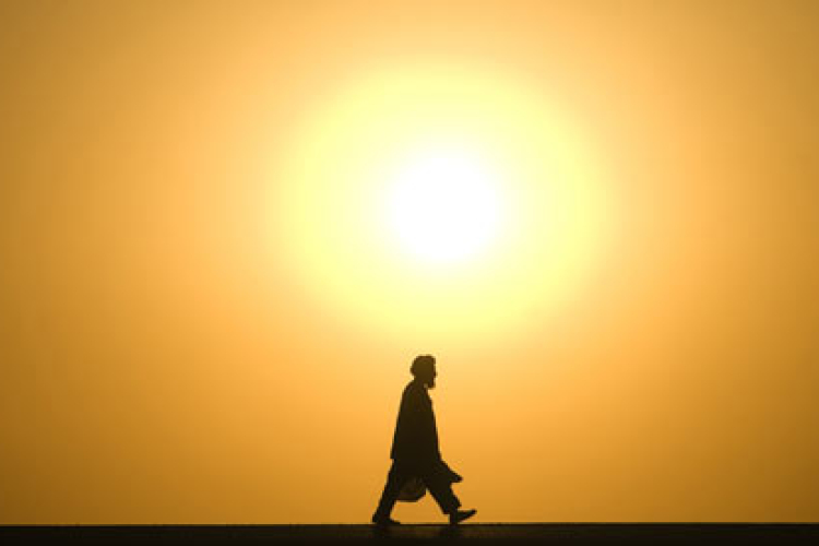 Rekordok, kisállatok, munkahely