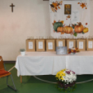 A teremtett világ szépségét ünnepelték Szanyban