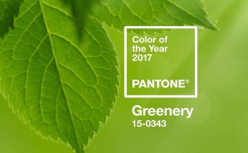 A borsózöld lett az év színe, hivatalos nevén: Greenery
